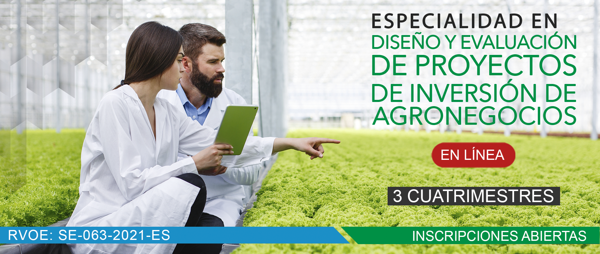 ESPECIALIDAD EN DISEÑO Y EVALUACIÓN DE PROYECTOS DE INVERSIÓN DE