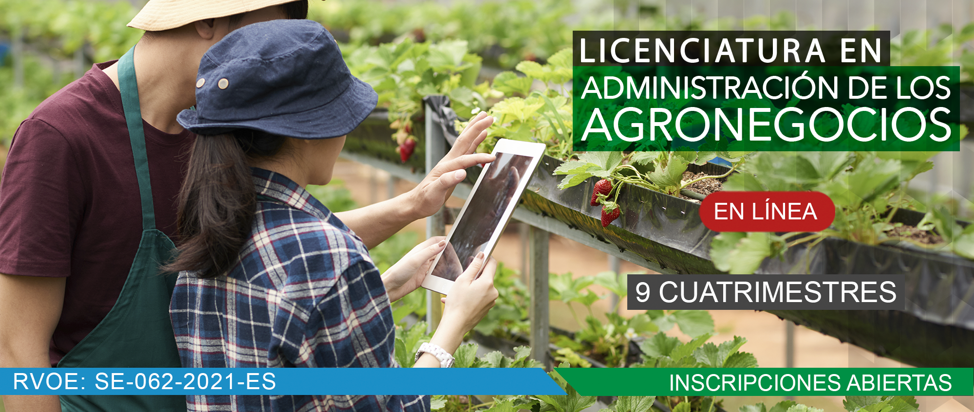 LICENCIATURA EN ADMINISTRACIÓN DE LOS AGRONEGOCIOS