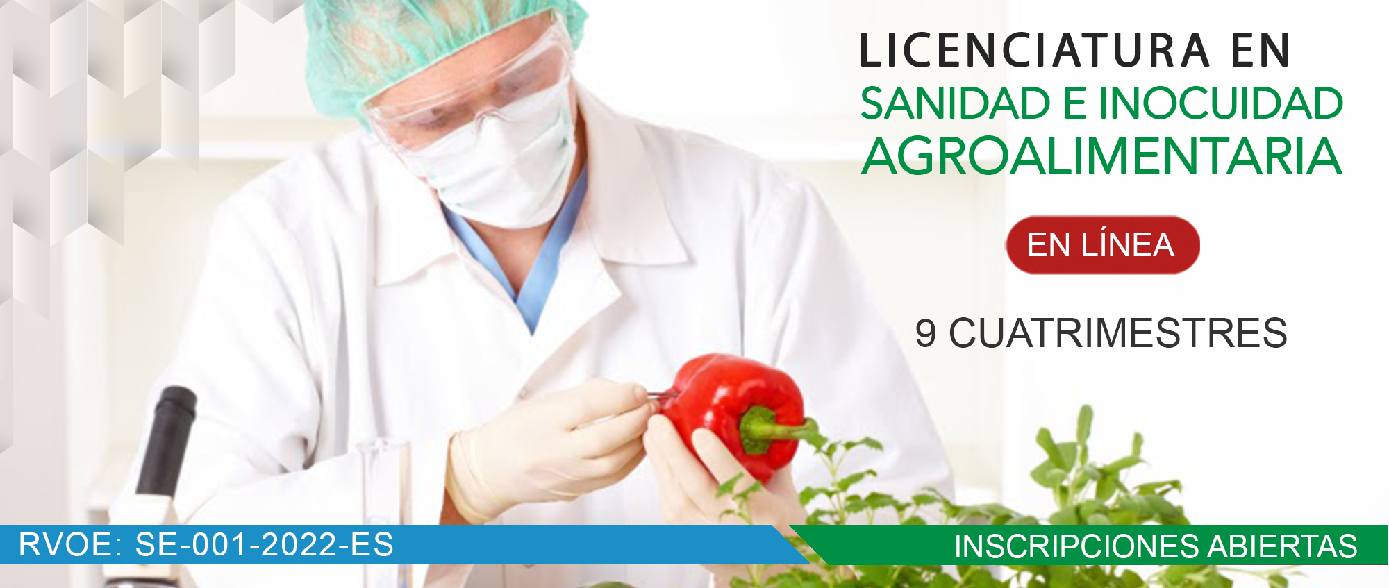 LICENCIATURA EN SANIDAD E INOCUIDAD AGROALIMENTARIA