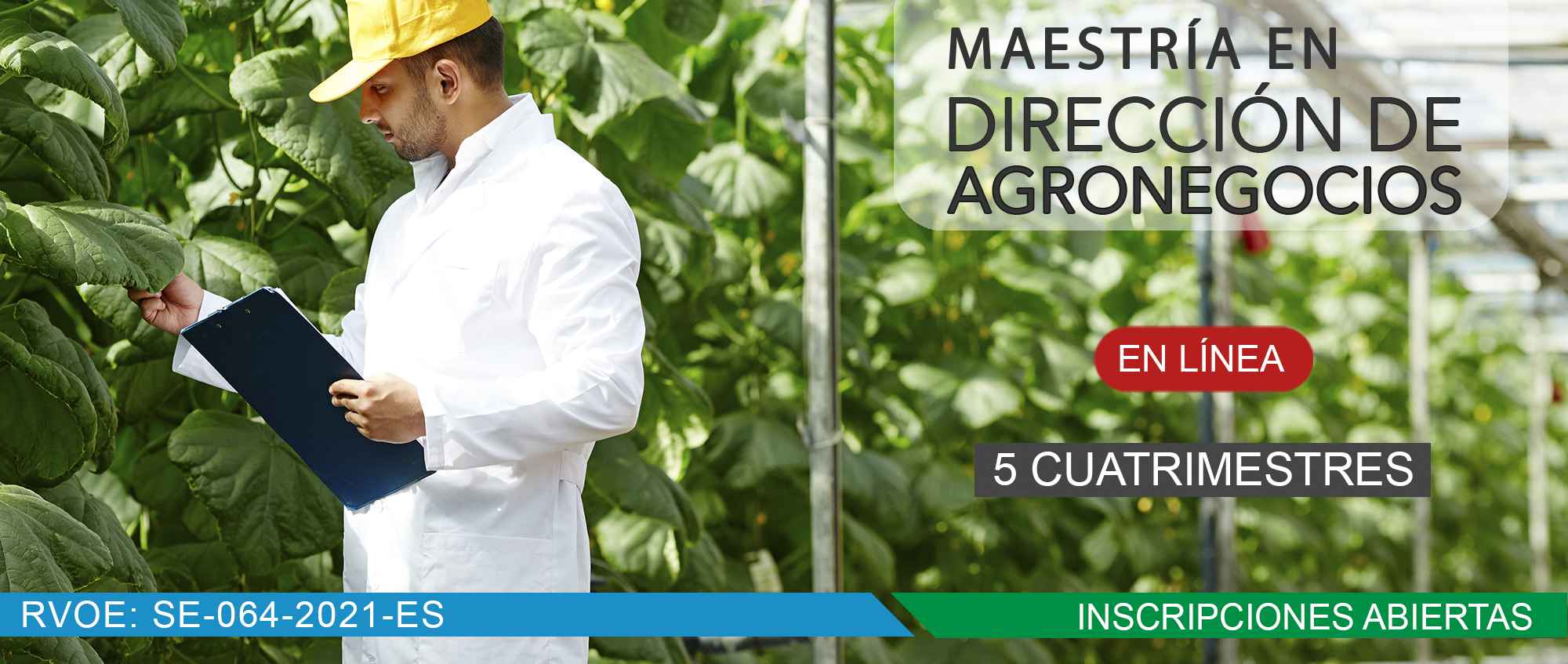 MAESTRÍA EN DIRECCIÓN DE AGRONEGOCIOS